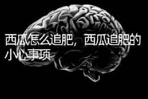 西瓜怎么追肥，西瓜追肥的小心事项