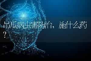 吊瓜病虫害防治，施什么药？