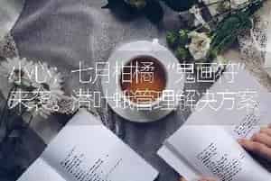 小心；七月柑橘“鬼画符”来袭。潜叶蛾管理解决方案