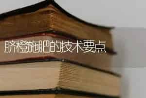 脐橙施肥的技术要点