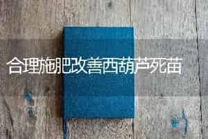 合理施肥改善西葫芦死苗