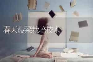 脐橙成长期间需要掌握的肥料施加方法