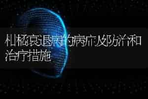 柑橘衰退病的病症及防治和治疗措施