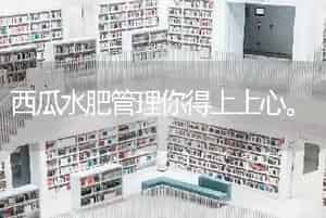 西瓜水肥管理你得上上心。