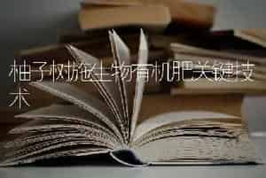 柚子树施生物有机肥关键技术