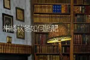 柑橘秋冬如何施肥