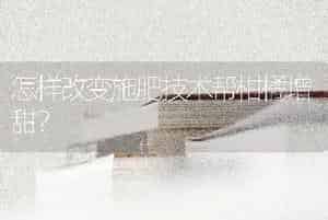 怎样改变施肥技术帮柑橘增甜？