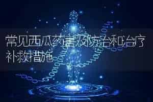 常见西瓜药害及防治和治疗补救措施