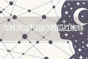 怎样防治和治疗香瓜红蜘蛛