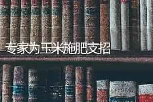 丝瓜的栽植窍门  才得高产