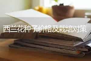 柑橘春天怎样施肥？柑橘春天施肥要点