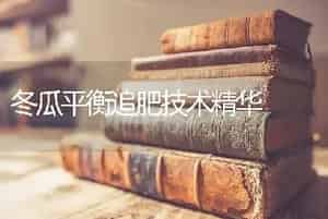 冬瓜平衡追肥技术精华