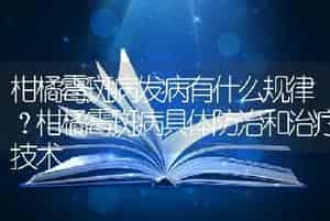 柑橘霉斑病发病有什么规律？柑橘霉斑病具体防治和治疗技术