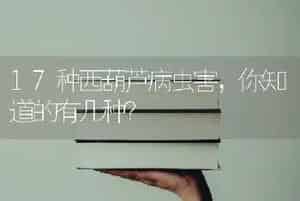 17种西葫芦病虫害，你知道的有几种？