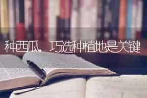 种西瓜，巧选种植地是关键