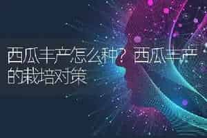 西瓜丰产怎么种？西瓜丰产的栽培对策