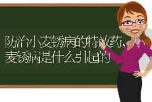 防治小麦锈病的特效药,小麦锈病是什么引起的