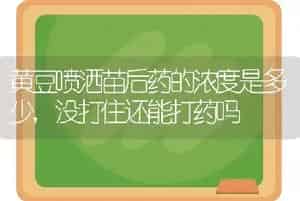 黄豆喷洒苗后药的浓度是多少,没打住还能打药吗