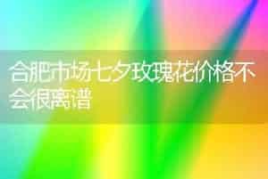合肥市场七夕玫瑰花价格不会很离谱