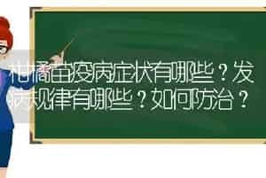 柑橘苗疫病症状有哪些？发病规律有哪些？如何防治？