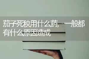 茄子死秧用什么药,一般都有什么原因造成