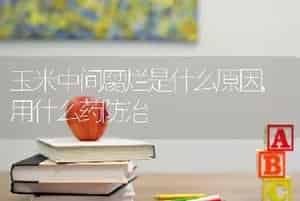 玉米中间腐烂是什么原因,用什么药防治