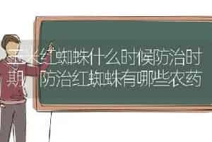 玉米红蜘蛛什么时候防治时期,防治红蜘蛛有哪些农药