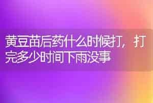 黄豆苗后药什么时候打,打完多少时间下雨没事