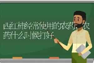 西红柿经常使用的农药,农药什么时候打好