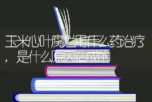 玉米心叶腐烂用什么药治疗,是什么原因造成的