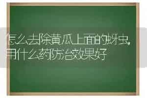 怎么去除黄瓜上面的蚜虫,用什么药防治效果好