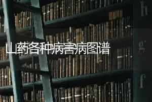 山药各种病害病图谱