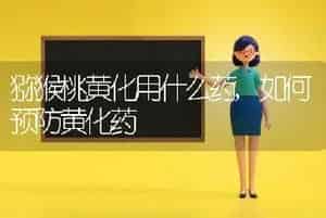 猕猴桃黄化用什么药,如何预防黄化药