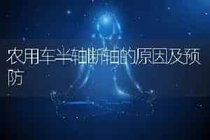 农用车半轴断轴的原因及预防