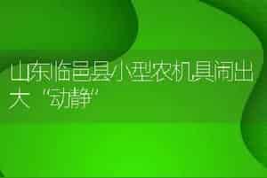 山东临邑县小型农机具闹出大“动静”
