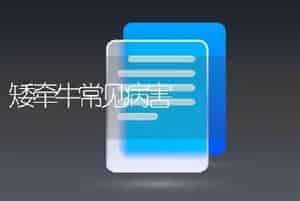 露地秋栽大白菜谨防病毒病