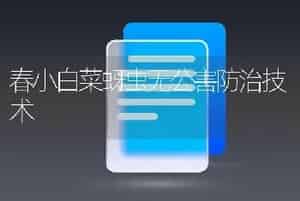 春小白菜蚜虫无公害防治技术