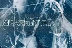 袋栽黑木耳烂棒原因及防治
