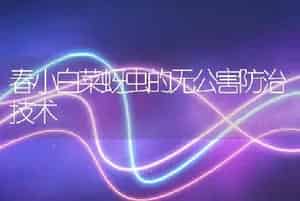 春小白菜蚜虫的无公害防治技术
