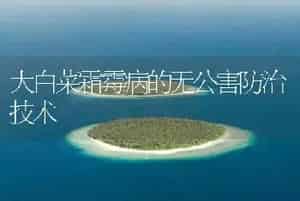 大白菜霜霉病的无公害防治技术