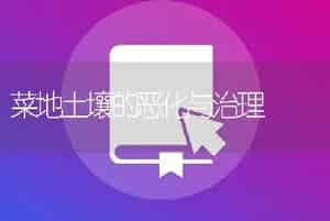 菜地土壤的恶化与治理