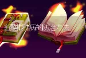白菜根肿病的防治方法
