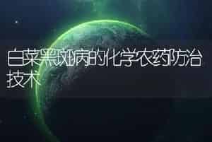 白菜黑斑病的化学农药防治技术