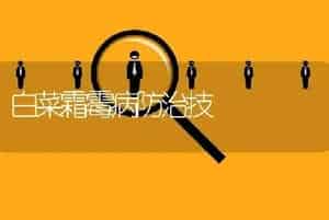 白菜霜霉病防治技