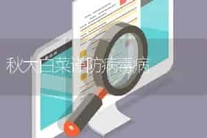 秋大白菜谨防病毒病