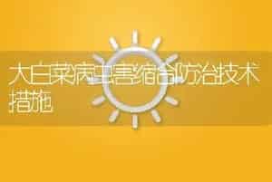 大白菜病虫害缩合防治技术措施