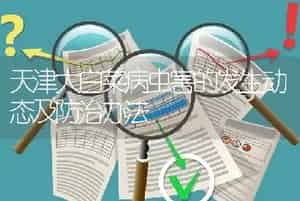 天津大白菜病虫害的发生动态及防治办法