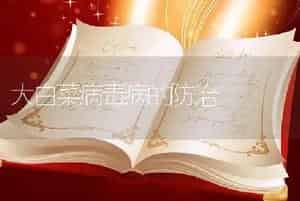 大白菜病毒病的防治