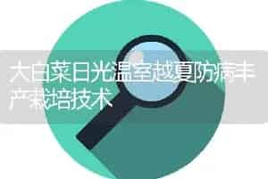 大白菜日光温室越夏防病丰产栽培技术