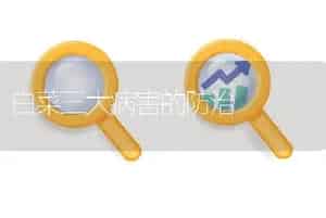 白菜三大病害的防治